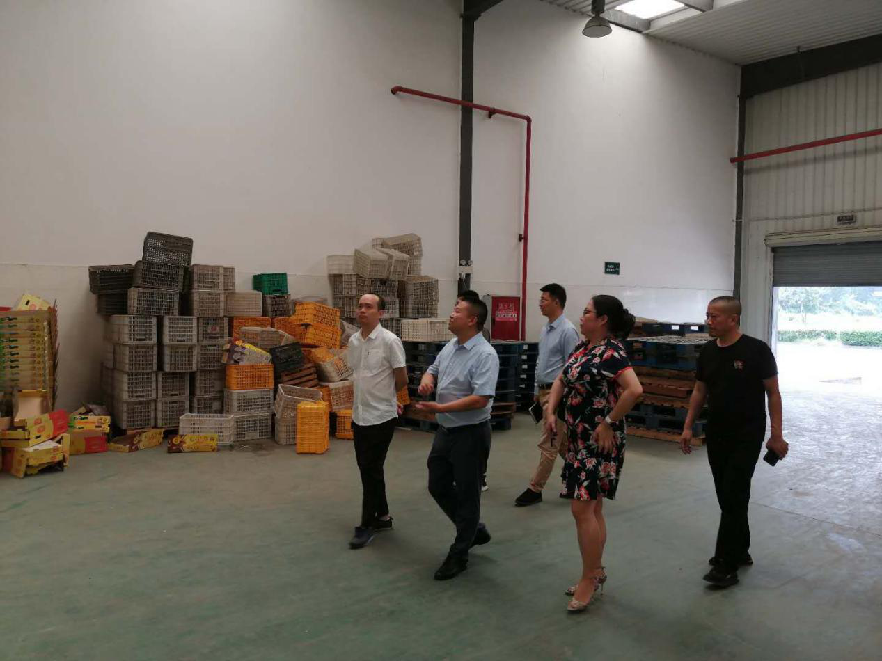 1600919783437633.png 8月5日農產品交易中心.png